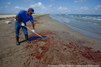 BP Oil Spill
