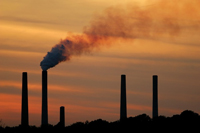 Protect yourself from environmental toxins with clay