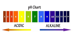 pH Chart